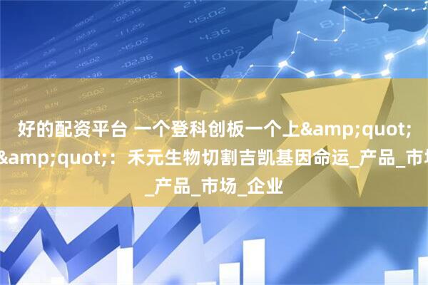 好的配资平台 一个登科创板一个上"老赖榜"：禾元生物切割吉凯基因命运_产品_市场_企业