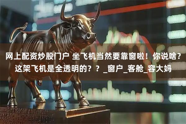 网上配资炒股门户 坐飞机当然要靠窗啦！你说啥？这架飞机是全透明的？？_窗户_客舱_容大妈