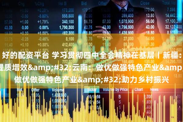 好的配资平台 学习贯彻四中全会精神在基层丨新疆：全面推进林果产业提质增效 云南：做优做强特色产业 助力乡村振兴